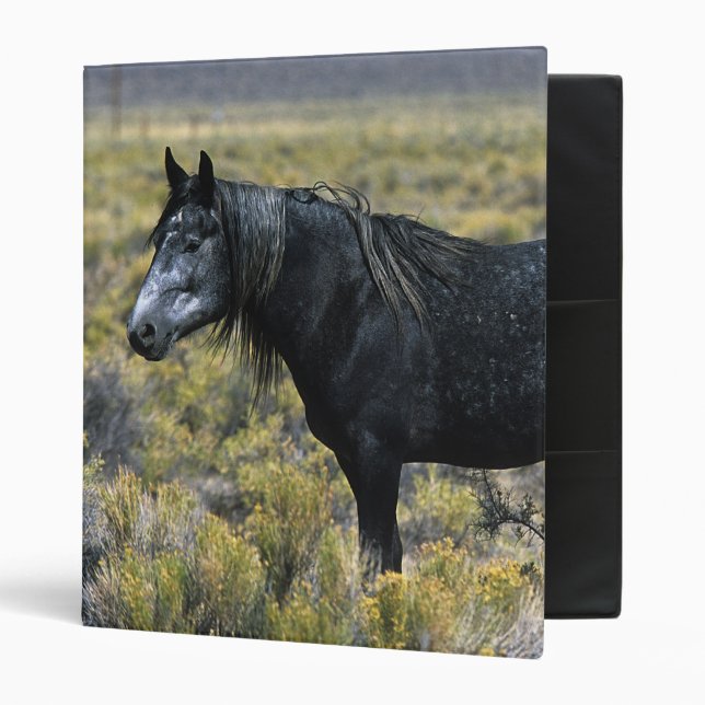 Wild Mustang Horse in the Desert 3 Ring Binder (Front/Inside)