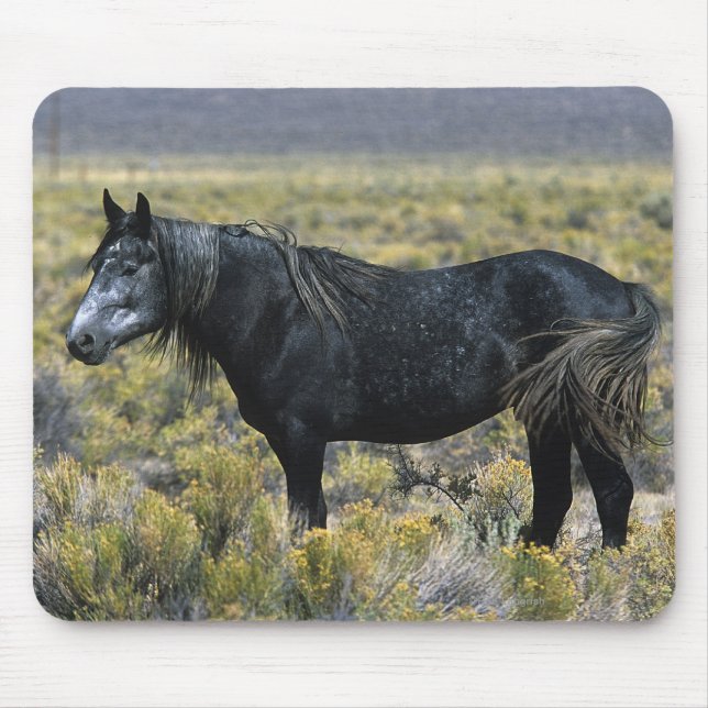 Wild Mustang Horse in the Desert Mouse Pad (Front)