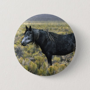 Wild Mustang Horse in the Desert Pinback Button