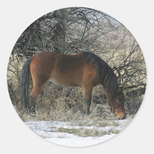 Wild Mustang Horse in the Snow 1 Classic Round Sticker