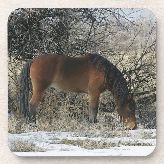 Wild Mustang Horse in the Snow 1 Drink Coaster (Front)