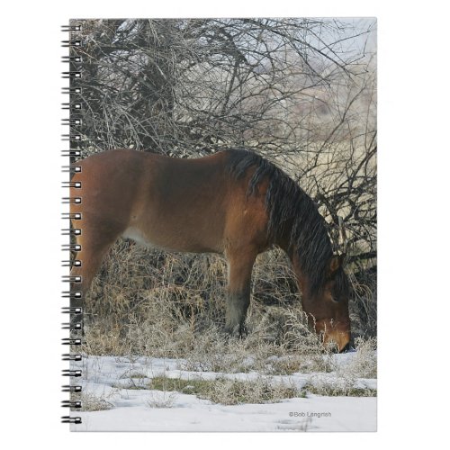 Wild Mustang Horse in the Snow 1 Notebook