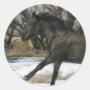 Wild Mustang Horse in the Snow 2 Classic Round Sticker