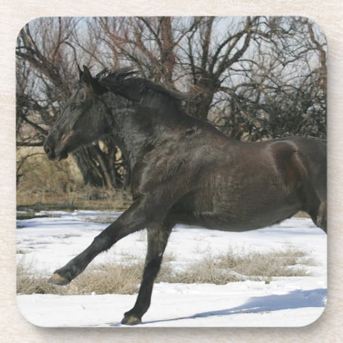 Wild Mustang Horse in the Snow 2 Coaster