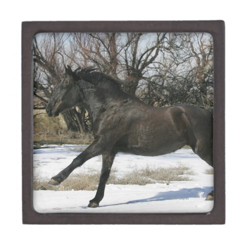 Wild Mustang Horse in the Snow 2 Gift Box