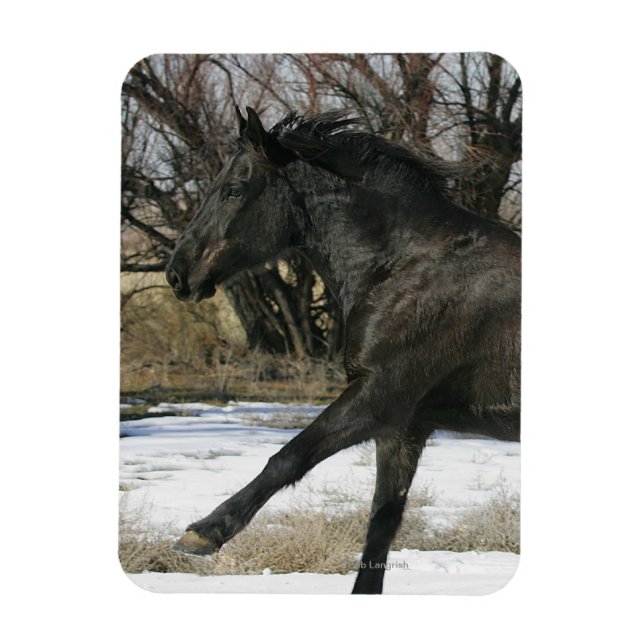 Wild Mustang Horse in the Snow 2 Magnet (Vertical)