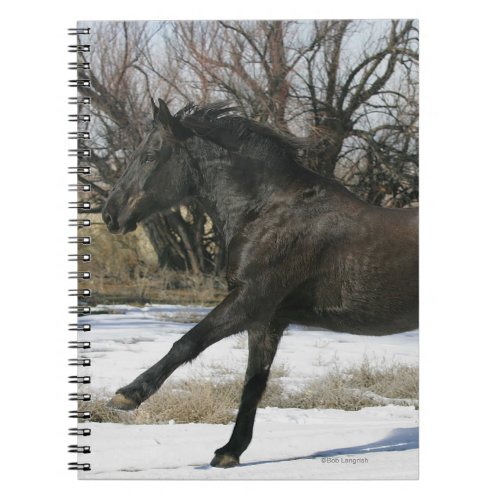 Wild Mustang Horse in the Snow 2 Notebook