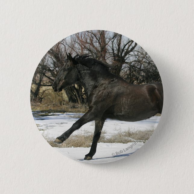 Wild Mustang Horse in the Snow 2 Pinback Button (Front)