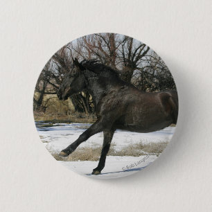 Wild Mustang Horse in the Snow 2 Pinback Button