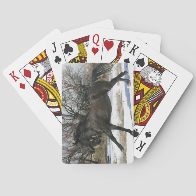 Wild Mustang Horse in the Snow 2 Poker Cards (Back)