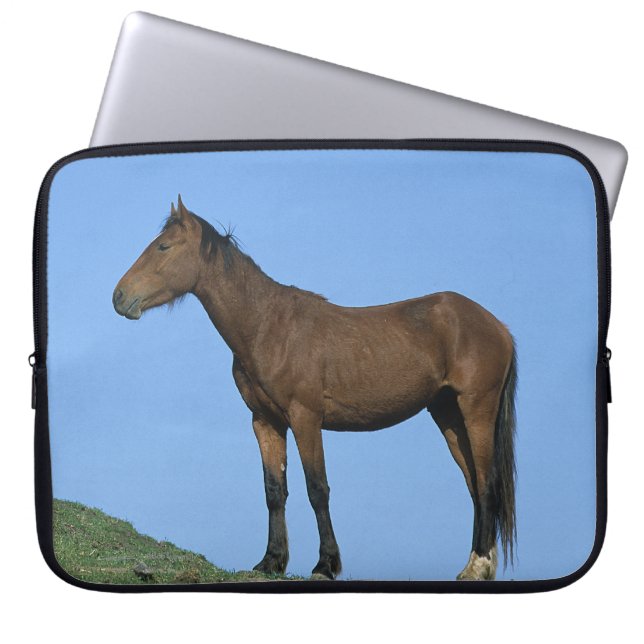 Wild Mustang Horse Laptop Sleeve (Front)