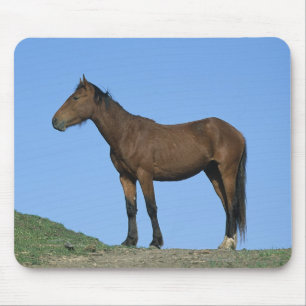 Wild Mustang Horse Mouse Pad