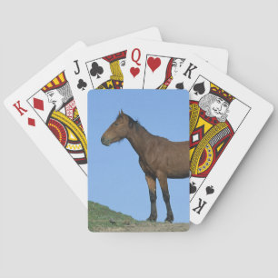 Wild Mustang Horse Poker Cards