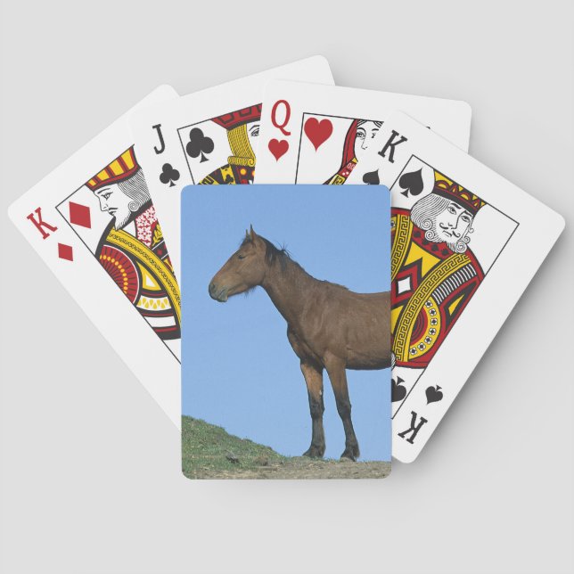 Wild Mustang Horse Poker Cards (Back)