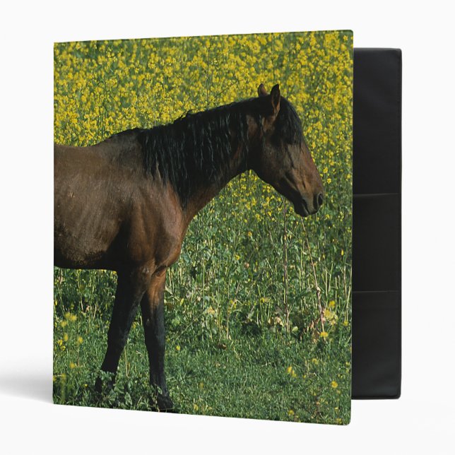 Wild Mustang Horse Standing in Flowers Binder (Front/Inside)