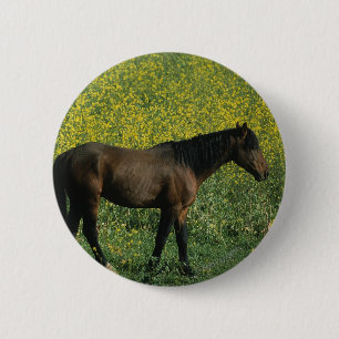 Wild Mustang Horse Standing in Flowers Button