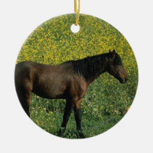 Wild Mustang Horse Standing in Flowers Ceramic Ornament