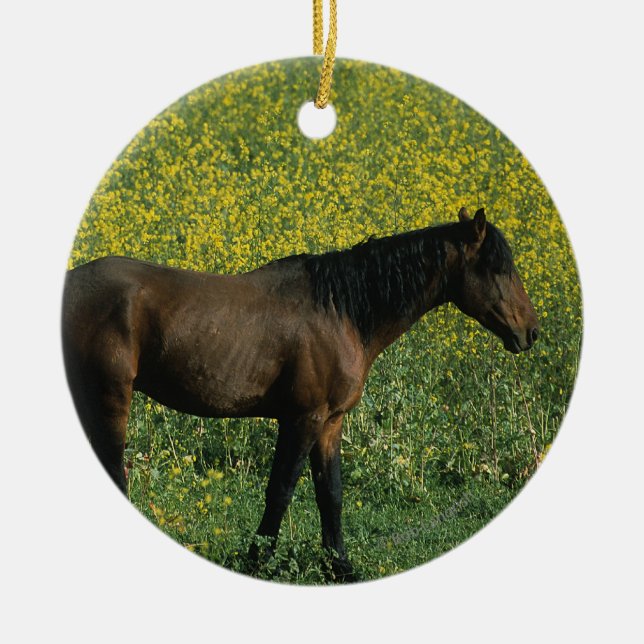 Wild Mustang Horse Standing in Flowers Ceramic Ornament (Front)