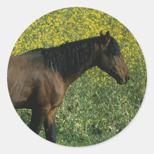 Wild Mustang Horse Standing in Flowers Classic Round Sticker