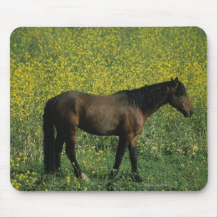 Wild Mustang Horse Standing in Flowers Mouse Pad