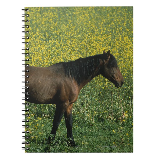 Wild Mustang Horse Standing in Flowers Notebook (Front)