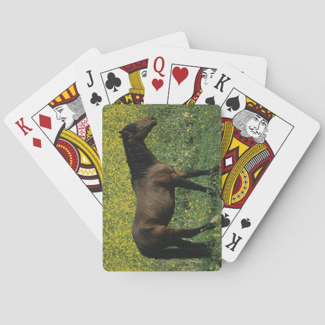 Wild Mustang Horse Standing in Flowers Poker Cards (Back)