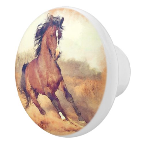 Wild Mustang Horse Watercolor Painting Ceramic Knob