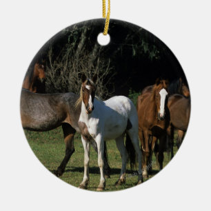 Wild Mustang Horses 1 Ceramic Ornament