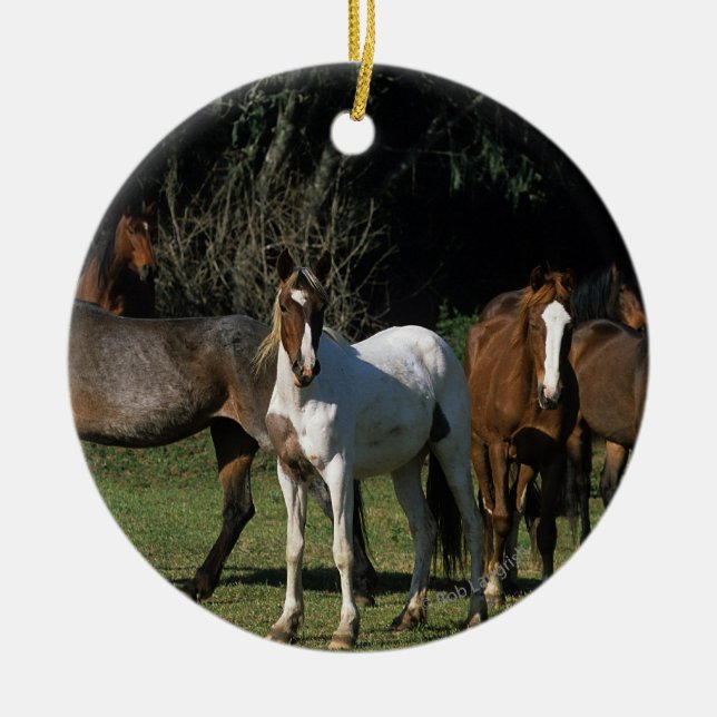 Wild Mustang Horses 1 Ceramic Ornament (Front)