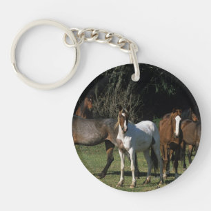Wild Mustang Horses 1 Keychain