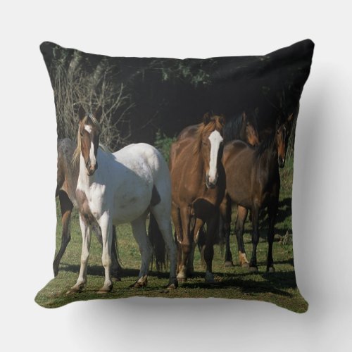 Wild Mustang Horses 1 Throw Pillow