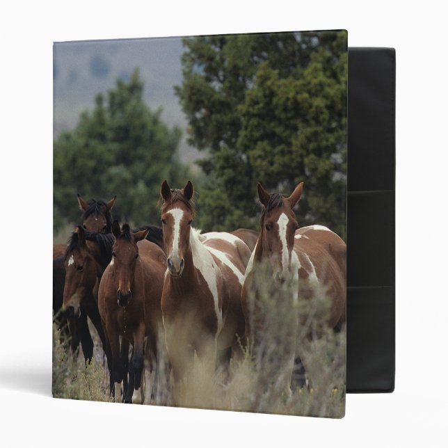 Wild Mustang Horses 2 3 Ring Binder (Front/Inside)