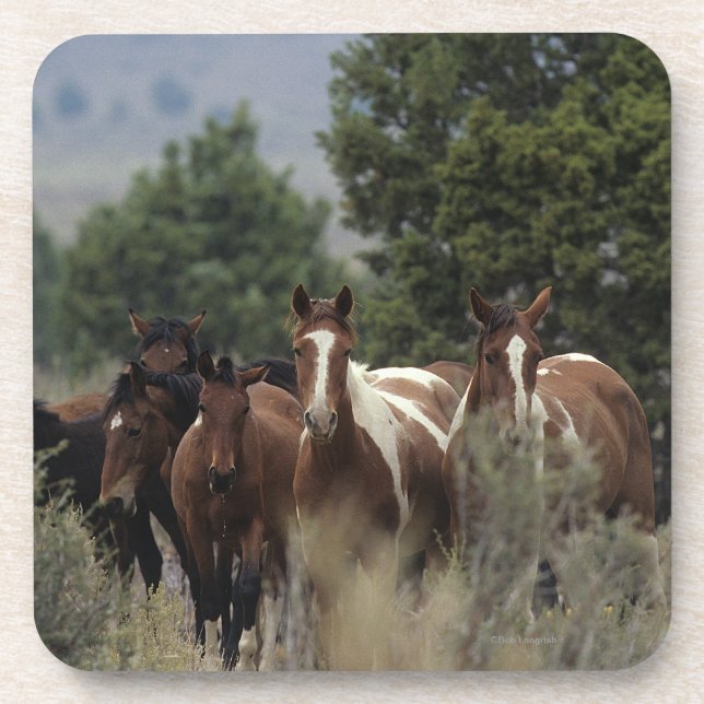 Wild Mustang Horses 2 Beverage Coaster (Front)