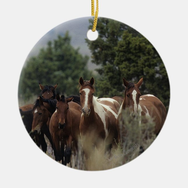 Wild Mustang Horses 2 Ceramic Ornament (Front)