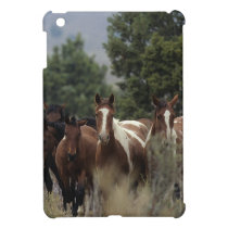 Wild Mustang Horses 2 iPad Mini Case