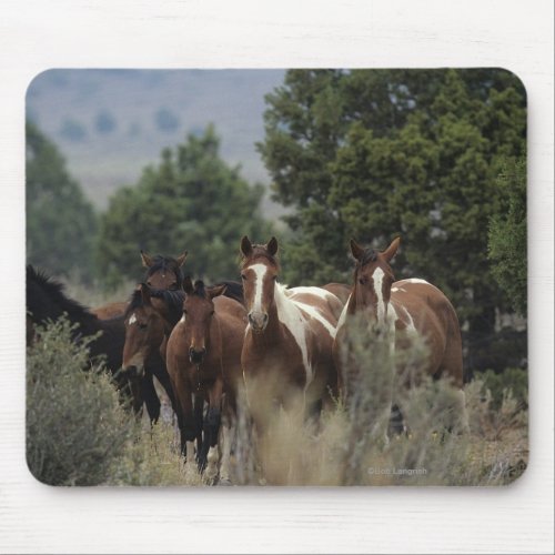 Wild Mustang Horses 2 Mouse Pad