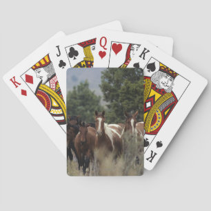 Wild Mustang Horses 2 Poker Cards