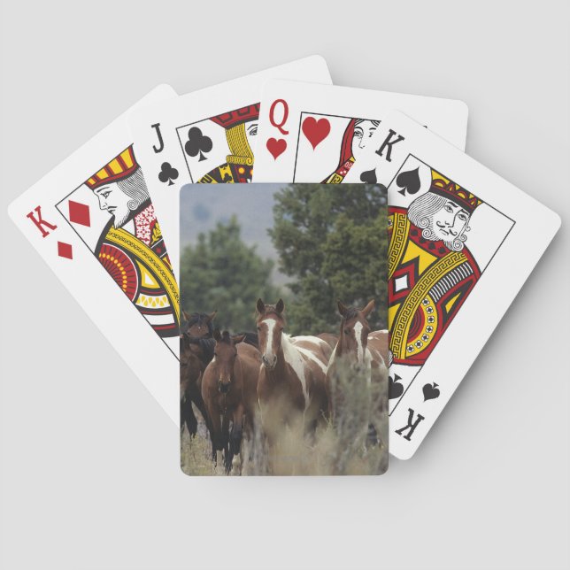 Wild Mustang Horses 2 Poker Cards (Back)