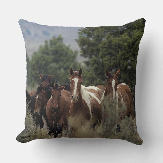 Wild Mustang Horses 2 Throw Pillow (Front)