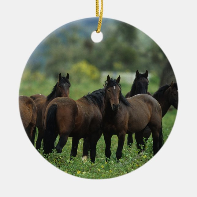 Wild Mustang Horses 3 Ceramic Ornament (Front)