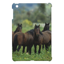 Wild Mustang Horses 3 iPad Mini Cover