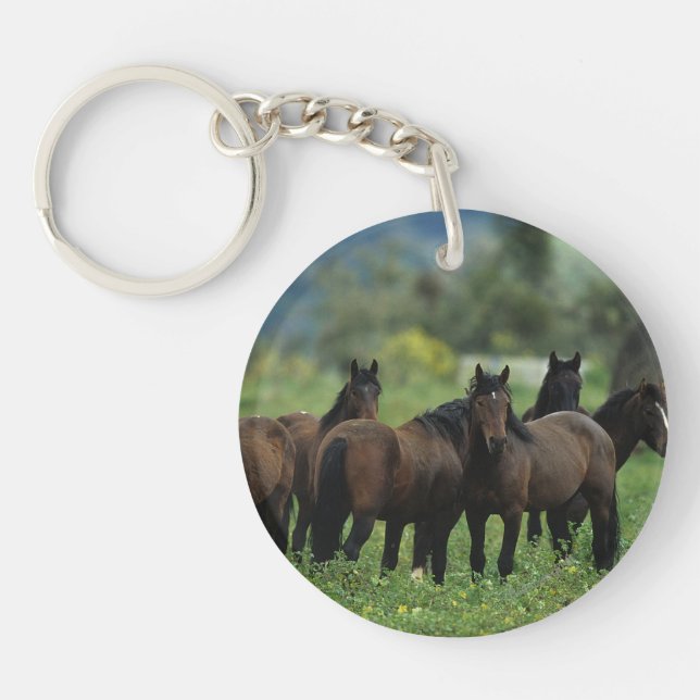 Wild Mustang Horses 3 Keychain (Front)