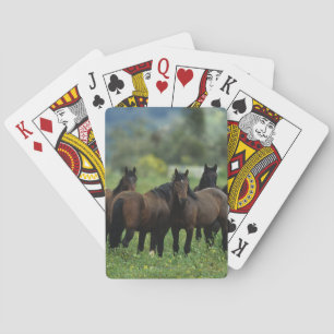 Wild Mustang Horses 3 Poker Cards