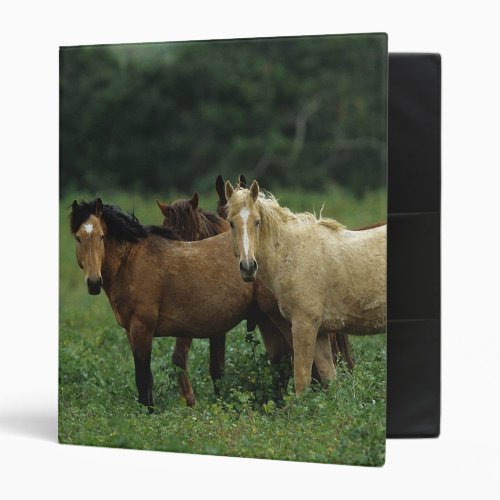 Wild Mustang Horses 4 Binder