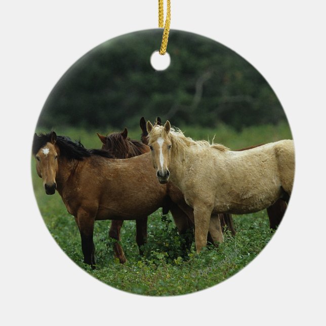 Wild Mustang Horses 4 Ceramic Ornament (Front)