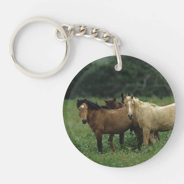 Wild Mustang Horses 4 Keychain (Front)