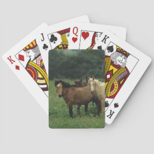 Wild Mustang Horses 4 Poker Cards