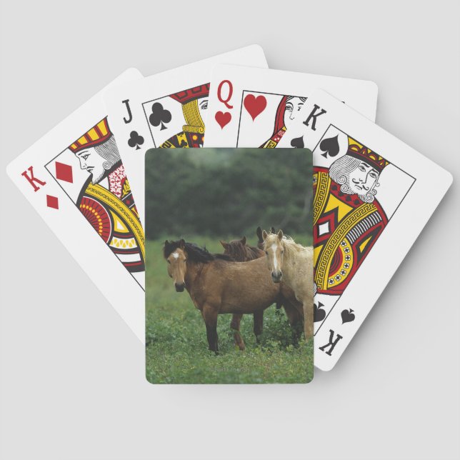 Wild Mustang Horses 4 Poker Cards (Back)