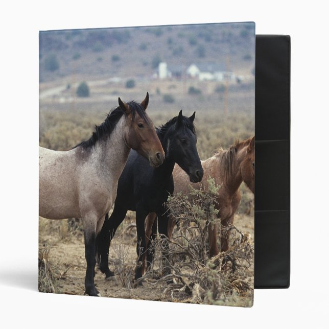 Wild Mustang Horses 5 Binder (Front/Inside)