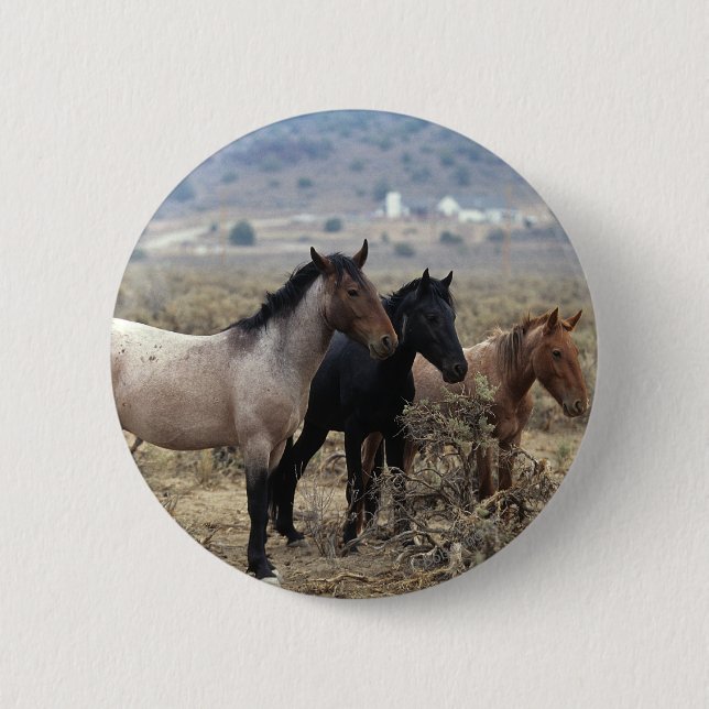 Wild Mustang Horses 5 Button (Front)